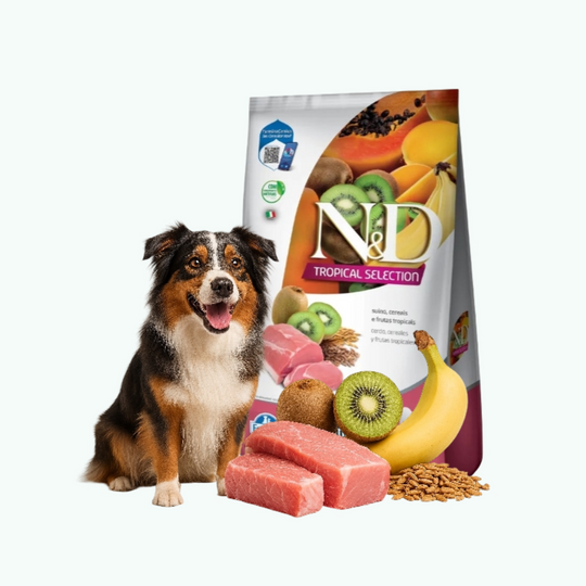 N&D Tropical Perro Adulto Raza Mediana y Grande Cerdo 12 Kg