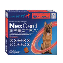 Nexgard Spectra 30 - 60kg 1 Comprimido