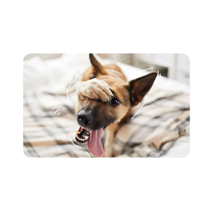 Nexgard Spectra 2 - 3.5kg 1 Comprimido