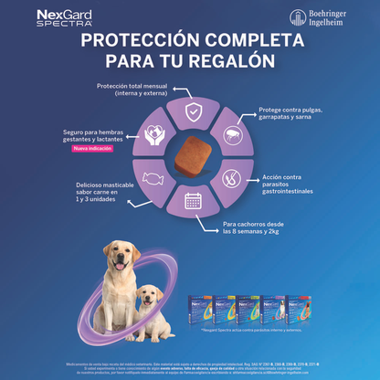 Nexgard Spectra 30 - 60 kg en 1 Comprimido