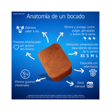 Pack2x Nexgard Spectra 15 - 30 kg 3 Comprimidos