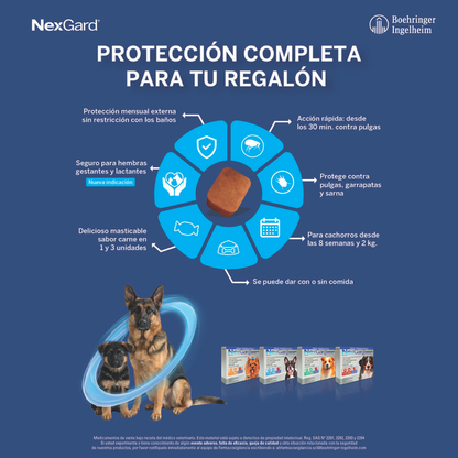 Nexgard Perros 10 - 25 kg