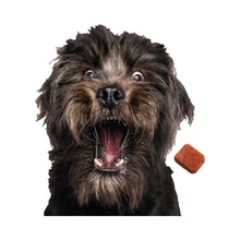 Nexgard Spectra 2 - 3.5kg 1 Comprimido