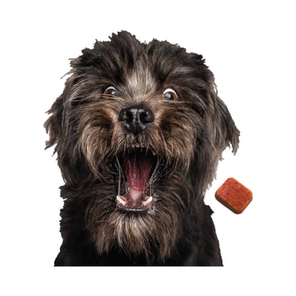 Nexgard Spectra 2 - 3.5kg 1 Comprimido