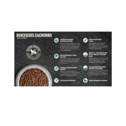 Nómade Perro Cachorro - Todas Las Razas