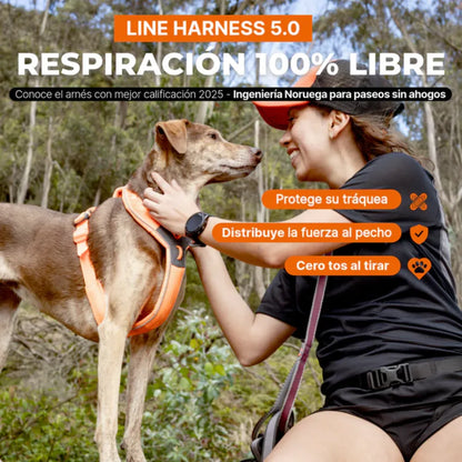 Non-Stop Dogwear Line Harness 5.0 Morado Talla 5