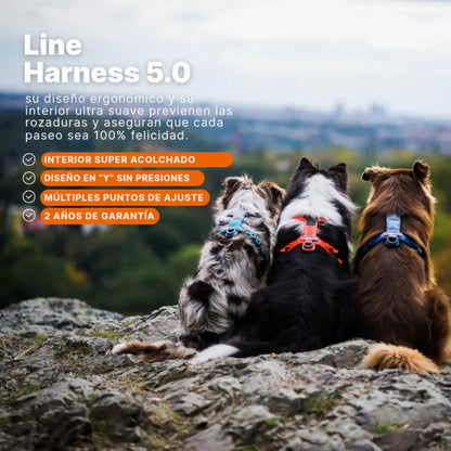 Non-Stop Dogwear Line Harness 5.0 Morado Talla 5