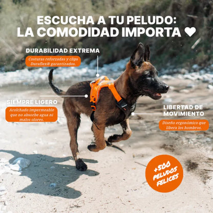 Non-Stop Dogwear Ramble Harness Morado Talla L