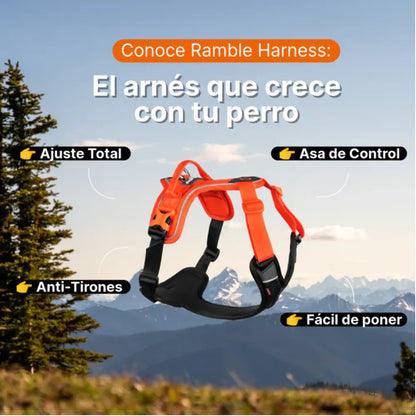 Non-Stop Dogwear Ramble Harness Morado Talla L