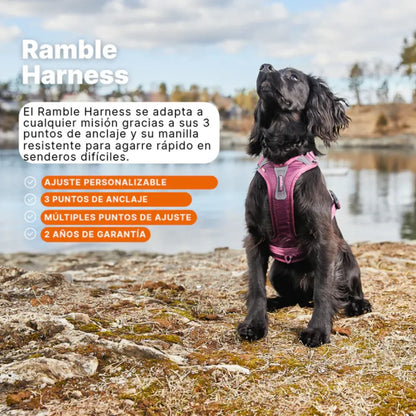 Non-Stop Dogwear Ramble Harness Morado Talla L