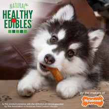 Nylabone Healthy Edibles Puppy Pavo y Camote 3 und 141 g