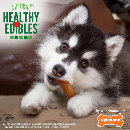 Nylabone Healthy Edibles Puppy Pavo y Camote 3 und 141 g