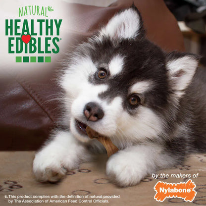 Nylabone Healthy Edibles Puppy Wild Pavo 4 und 80 g