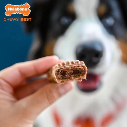 Nylabone Healthy Edibles Perro con Centro de Carne Vacuno 2 und 104 g