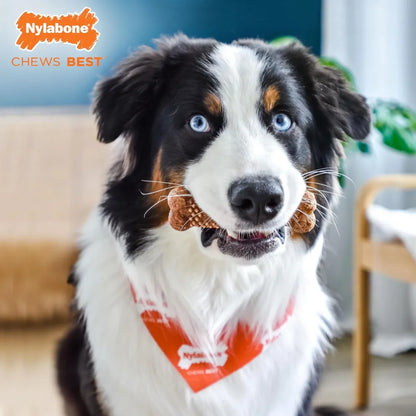 Nylabone Healthy Edibles Perro con Centro de Carne Vacuno 2 und 104 g