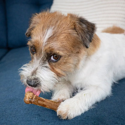 Nylabone Healthy Edibles Tocino 2 und 44 g