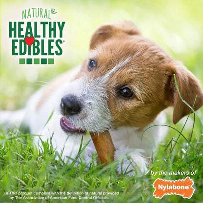Nylabone Healthy Edibles Tocino 47 g