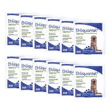 Pack 12 Antiparasitario Ehliquantel
