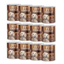 Pack 12 Latas Perro Fit Formula Sabor Carne