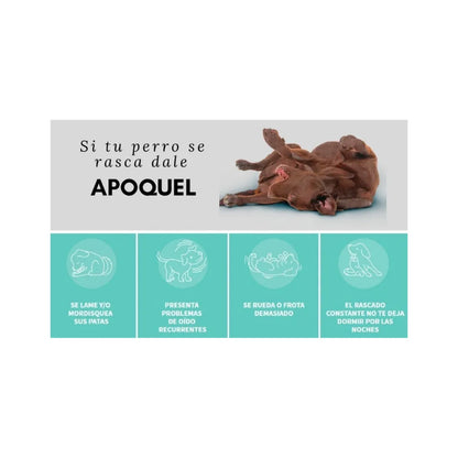 Pack 3 Unidades Apoquel 3,6 mg