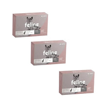 Pack 3x Feline Labyes Full 0.4 ml 1–2 kg