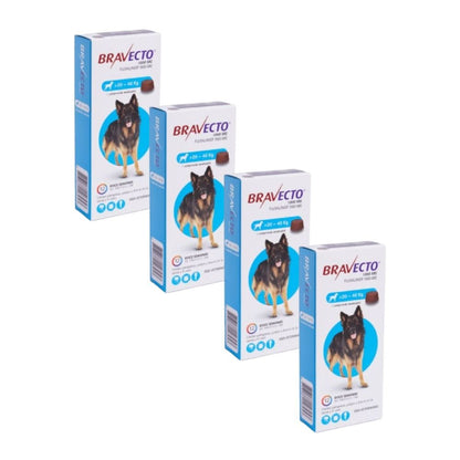 Pack 4x Bravecto Perro 20 - 40 k (1000mg)