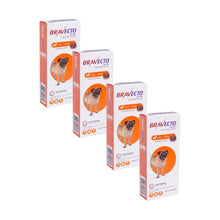Pack 4x Bravecto Perro 4.5 - 10kg (250mg)