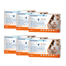Pack 6x Revolution Plus Gato 0.5ml