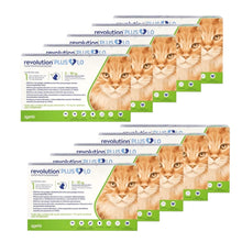 Pack 10x Revolution Plus Gato 5 - 10kg (1ml)