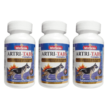 Pack x3 Artri Tabs