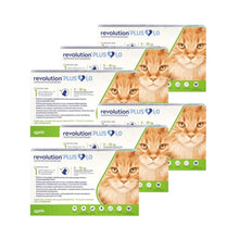 Pack 6x Revolution Plus Gato 5 - 10kg (1ml)