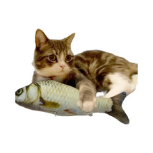 Marben Pets Peluche Pez Carpa con Catnip al Interior L