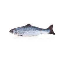 Marben Pets Peluche Pez Carpa con Catnip al Interior Carga USB