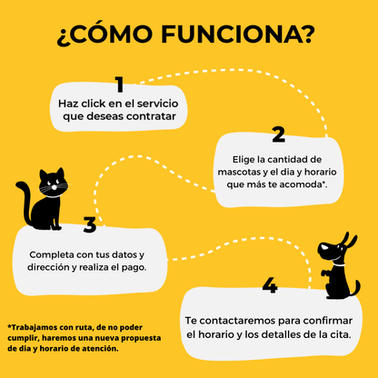 Peluquería Perro PEQUEÑO (hasta 9 Kg) a domicilio