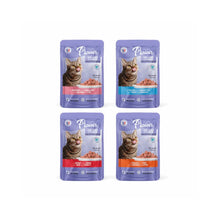 Plaisir Gato Adulto Mix de Sabores 12 x 100 g