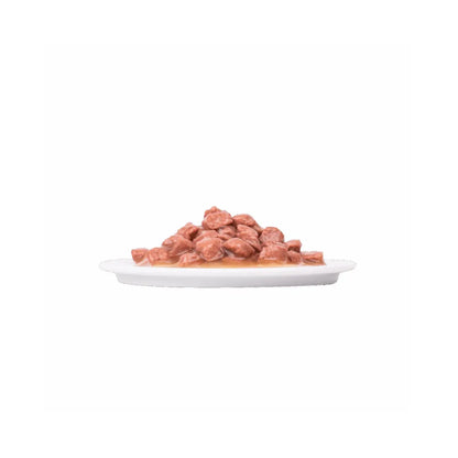 Plaisir Gato Adulto Mix de Sabores 12 x 100 g