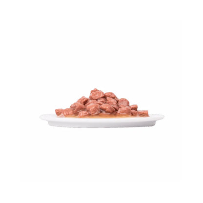 Plaisir Gato Adulto Trucha y Camarones 100 g