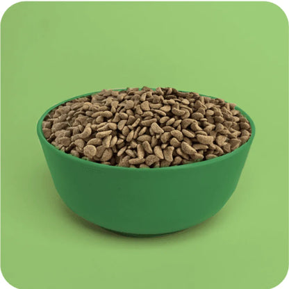 Plenty Perro Adulto Pollo 3 kg