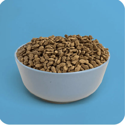 Plenty Perro Adulto Salmón 10 kg