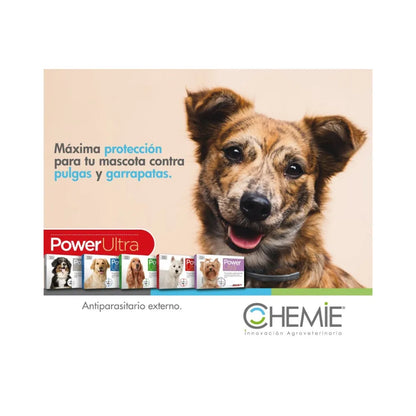 Power Ultra Perro 21 - 40 k