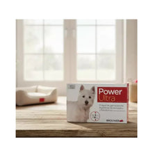 Power Ultra Perro 5 - 10 k