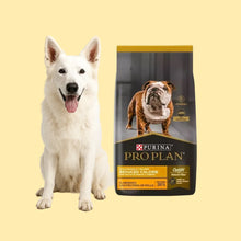 Pro Plan Reduced Calorie Razas Medianas y Grandes 12Kg