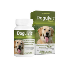 Doguivit Adulto 60 Comprimidos