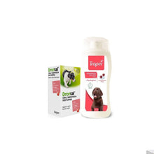 Promo Cachorro Drontal Puppy + Shampoo Puppy