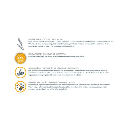 Protect Digest Urinary Dog 12 k