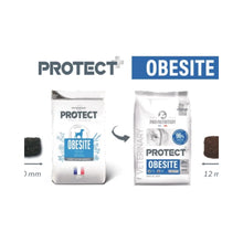 Protect Obesite Canino