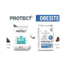 Protect Obesite Felino 2kg