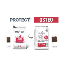Protect Osteo Canino 12kg