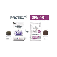 Protect Senior + Canino 2kg