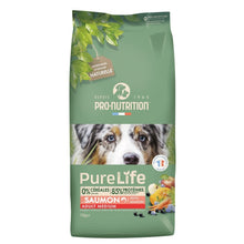 Pure Life Flatazor - Adult Medium